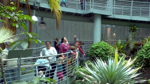 Academy of Sciences Rain Forest Bio Dome