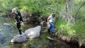 Playing In The Creek
