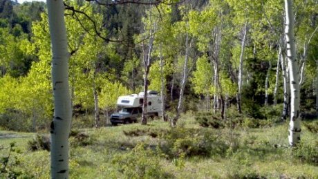 2012-05-28_08-54-16_196.jpg image